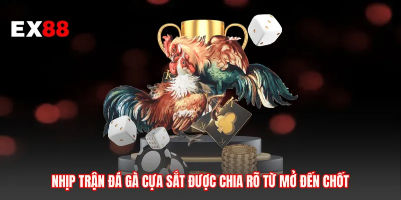 Nhịp trận đá gà cựa sắt được chia rõ từ mở đến chốt