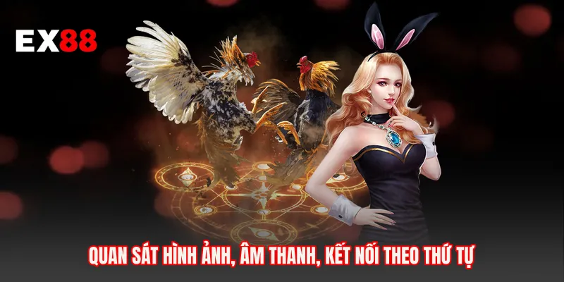 Quan sát hình ảnh, âm thanh, kết nối theo thứ tự