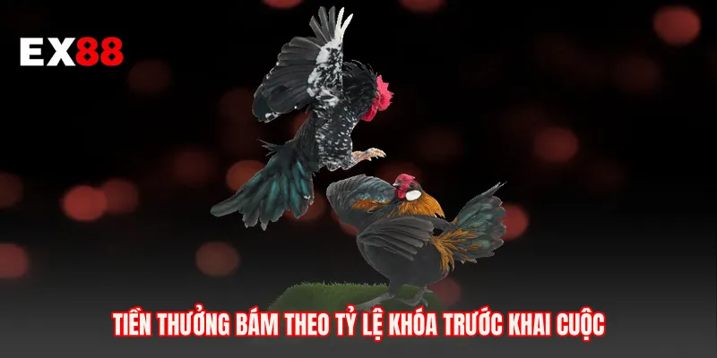 Tiền thưởng bám theo tỷ lệ khóa trước khai cuộc